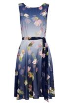 Women's Wallis Ombre Water Lily Fit & Flare Dress Us / 8 Uk - Blue