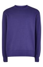 Men's Topman Tristan Sweatshirt - Purple