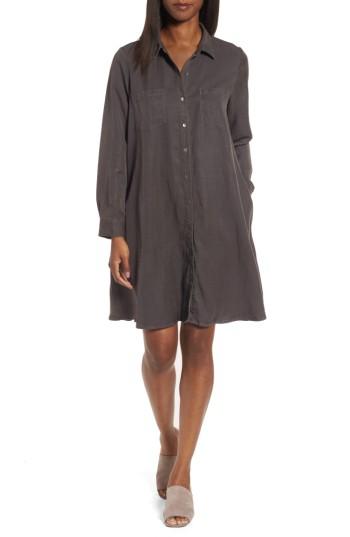Women's Eileen Fisher Classic Collar A-line Shirtdress, Size - Brown