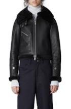 Women's The Arrivals Moya Mini Leather & Genuine Shearling Jacket - Black