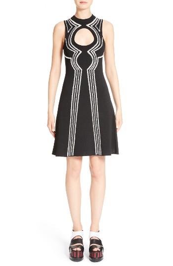 Women's Proenza Schouler Intarsia Loop Knit Dress