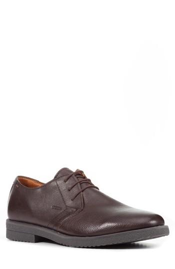 Men's Geox Brandled Plain Toe Derby Us / 41eu - Brown