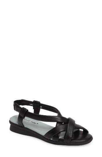 Women's David Tate Bay Sandal