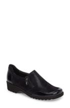 Women's Ara Athena Flat .5 M - Blue