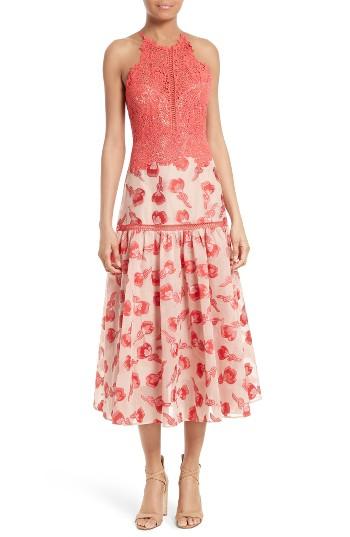 Women's Rebecca Taylor Lace & Jacquard Midi Dress
