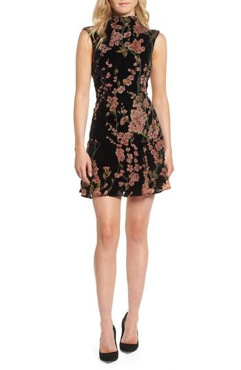 Women's Elliatt Salon Velvet Minidress - Black