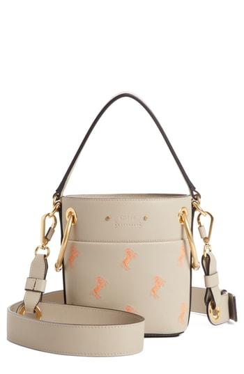 Chloe Roy Mini Embroidered Leather Bucket Bag - Grey