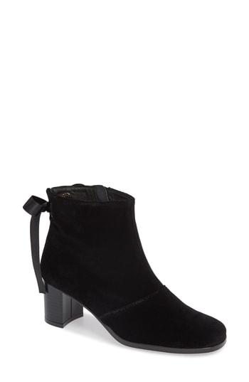 Women's Patricia Green Veronica Velvet Ribbon Bootie M - Black