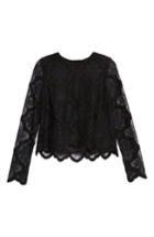 Women's Kendall + Kylie Lace Crop Top