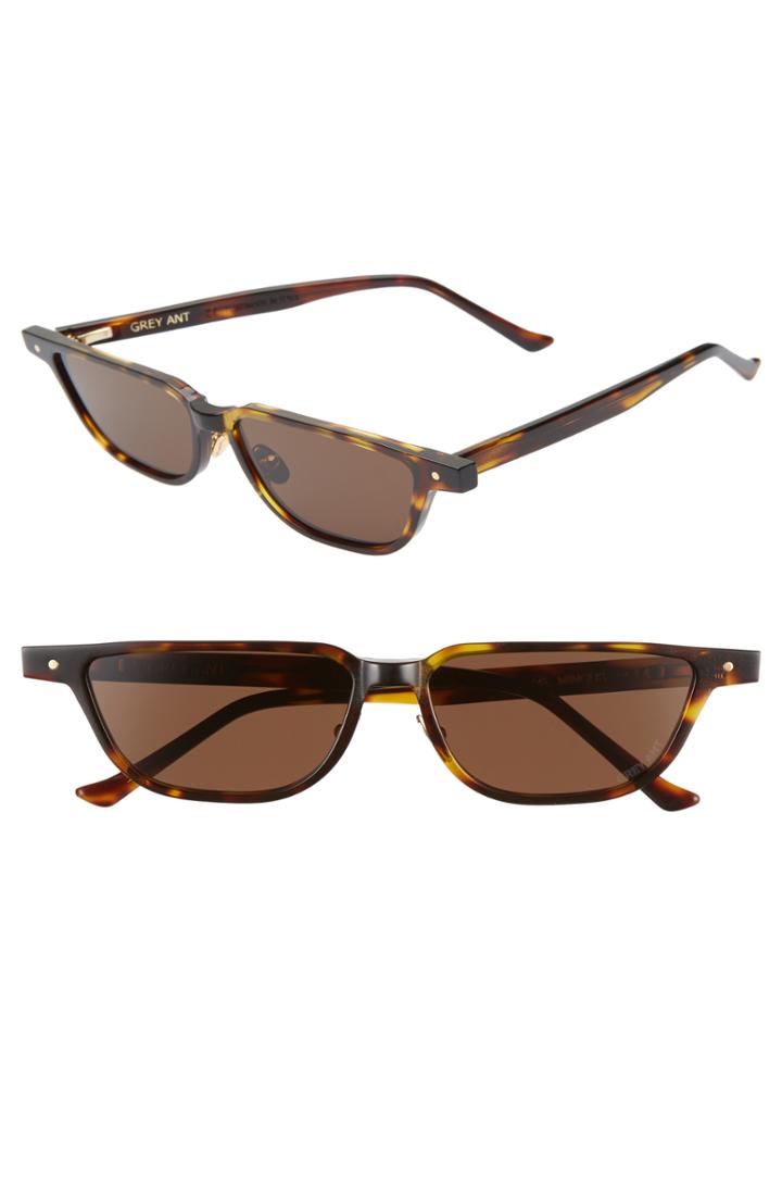 Women's Grey Ant Mingus 59mm Sunglasses - Tortoise
