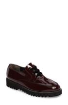 Women's Paul Green Nicole Platform Oxford .5us/ 3uk - Burgundy