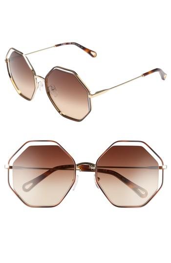 Women's Chloe 58mm Octagonal Halo Lens Sunglasses - Havana/ Brown