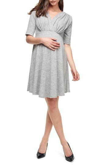 Women's Maternal America Empire Waist Stretch Maternity Dress