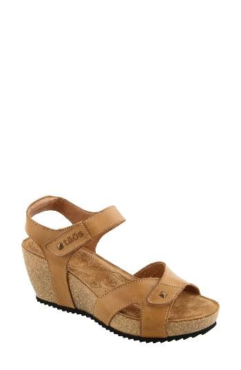 Women's Taos Sally Wedge Sandal Eu - Brown