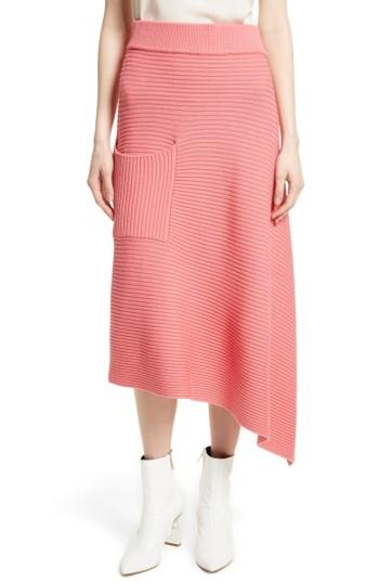 Women's Tibi Asymmetrical Rib Merino Wool Skirt - Pink