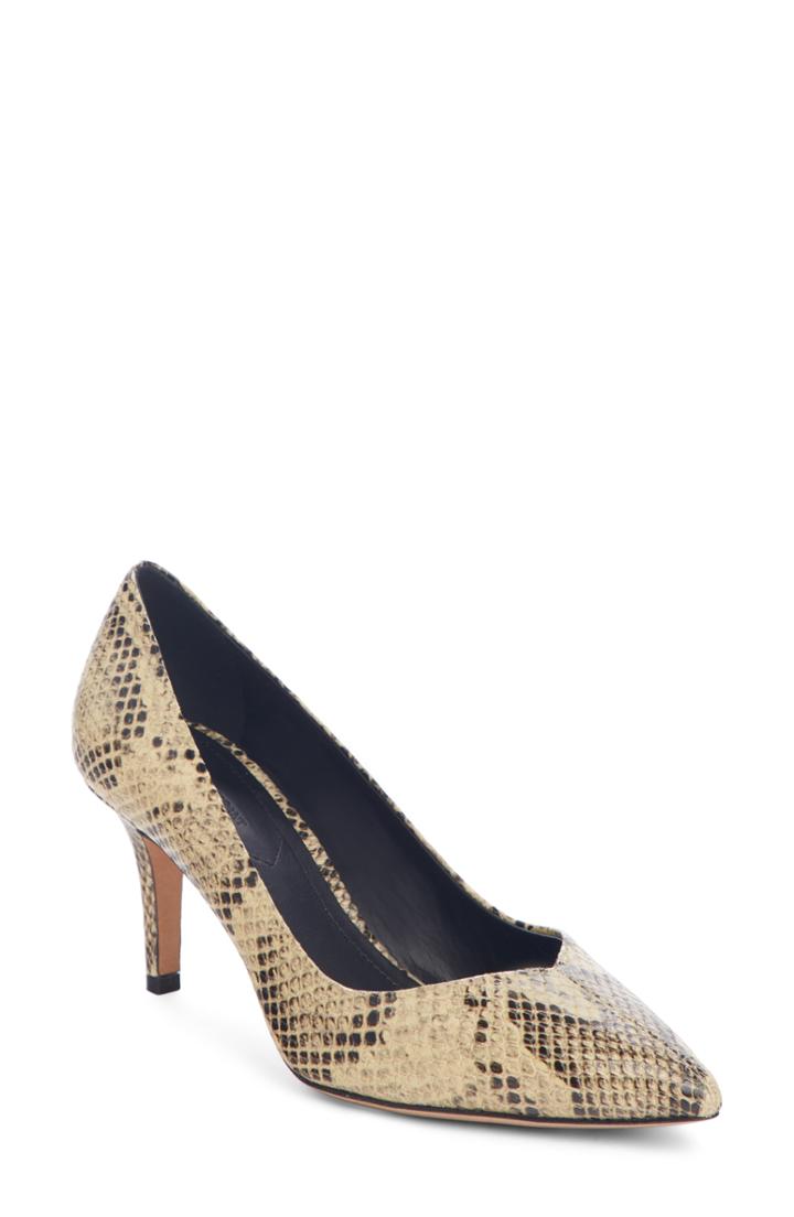 Women's Isabel Marant Pully Pointy Toe Pump