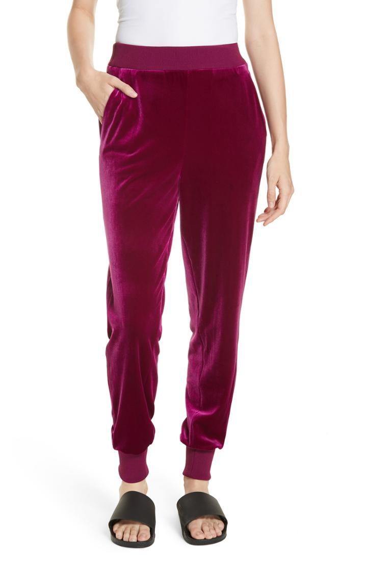 Women's Tibi Velvet Joggers - Purple