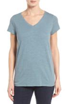 Petite Women's Eileen Fisher Organic Cotton V-neck Tee P - Blue