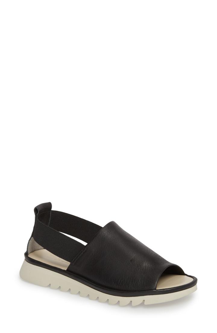 Women's The Flexx Shore Line Sandal M - Black