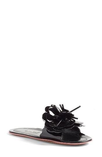 Women's Miu Miu Floral Slide Sandal Us / 35eu - Black
