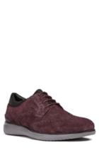 Men's Geox Winfred 6 Wingtip