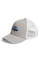 Men's Patagonia Fitz Roy Bison Trucker Hat - Grey