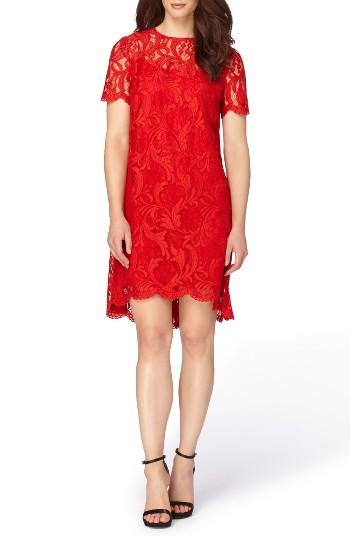 Women's Tahari Corded Lace Swing Dress