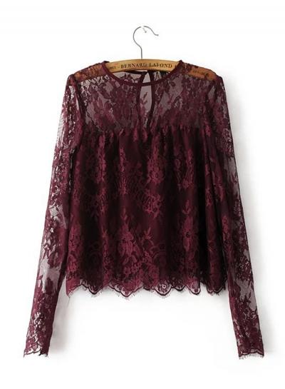 Oasap Round Neck Lace Sheer Blouse