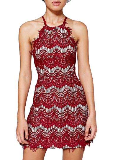 Oasap Women's Halter Sleeveless Backless Lace Bodycon Club Mini Dress