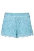 Oasap Embroidered Organza Shorts
