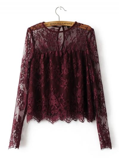 Oasap Round Neck Long Sleeve See Through Lace Blouses