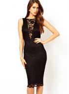 Oasap Hot Sheer Round Neck Backless Lace Bodycon Dress
