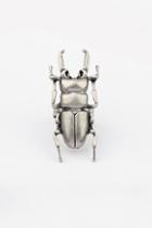 Oasap Structured Vivid Beetle Ring