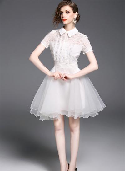 Oasap Short Sleeve Slim Lace Dress