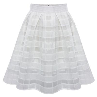 Oasap High Waist Solid Color Mesh Skirt