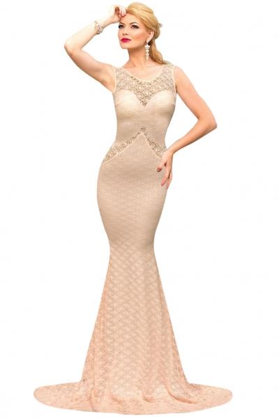 Oasap Deluxe Mermaid Style Lace Hollow Outs Maxi Evening Dress