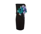 Oasis Fairytale Chiffon Dress