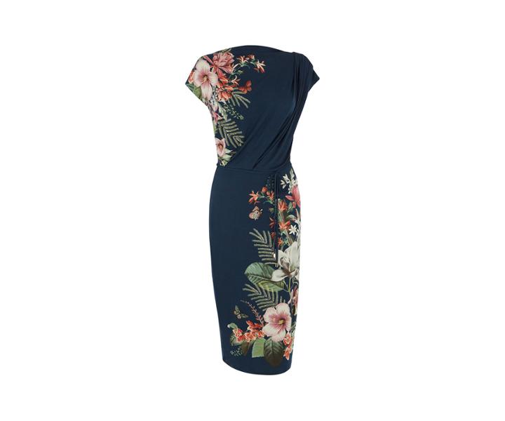 Oasis Fitzwilliam Drape Dress