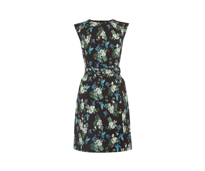 Oasis Ll Orchid Print Shift Dress