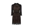 Oasis Prarie Lace Dress
