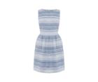 Oasis Denim Stripe Dress