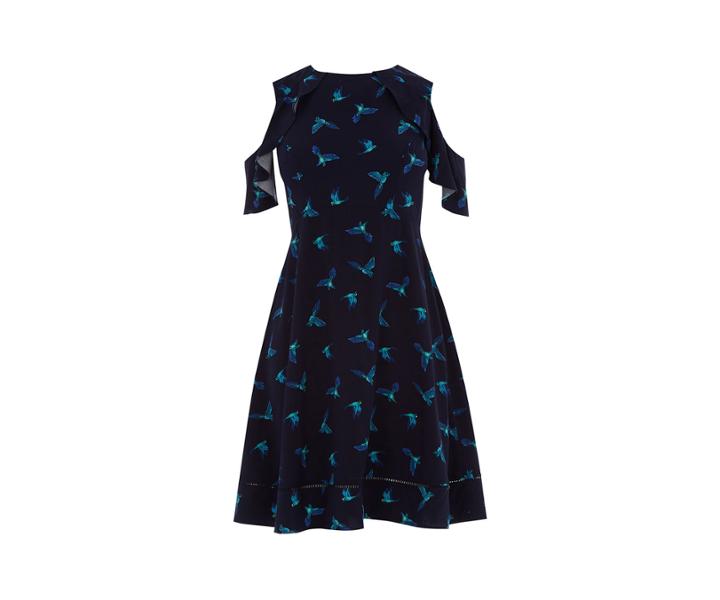 Oasis Zsl Parrot Skater Dress