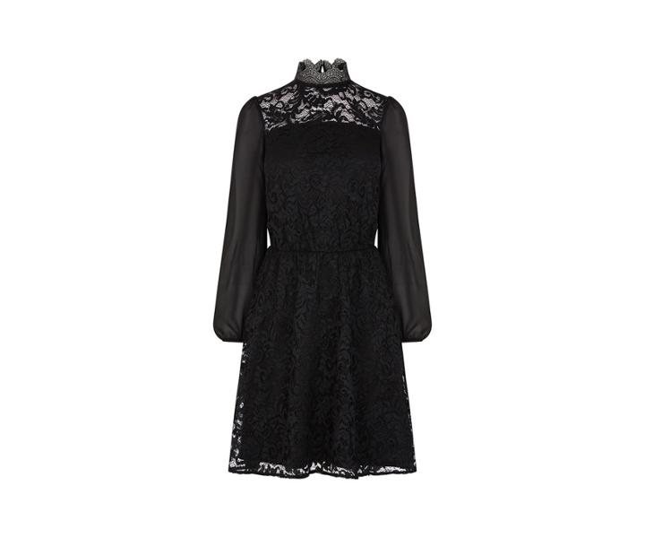 Oasis Lace & Sheer Skater Dress