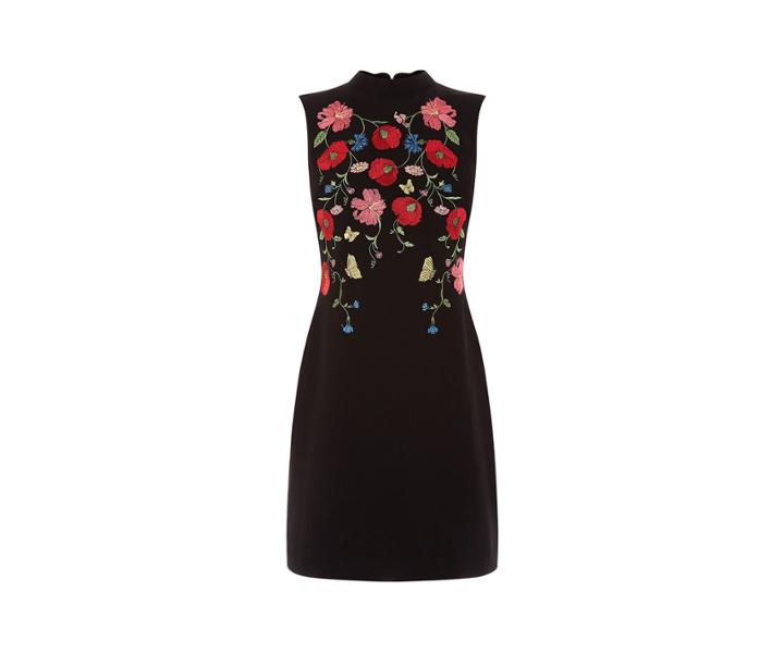 Oasis Poppy Embroidered Shift Dress