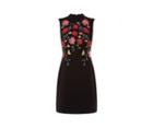Oasis Poppy Embroidered Shift Dress