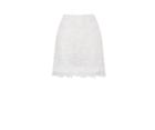 Oasis Rose Lace Mini Skirt