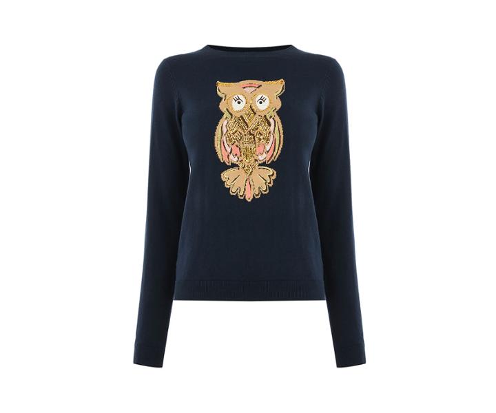 Oasis Owl Embroidery Jumper