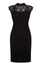 Oasis Lace Neck High Dress