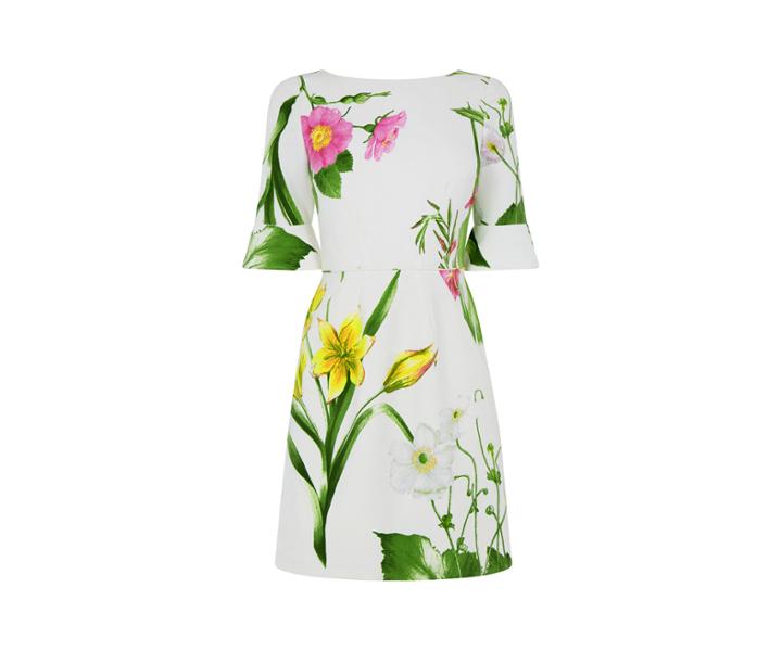 Oasis Chelsea Bell Sleeve Shift