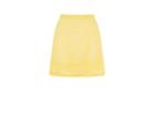 Oasis Lace Mini Skirt